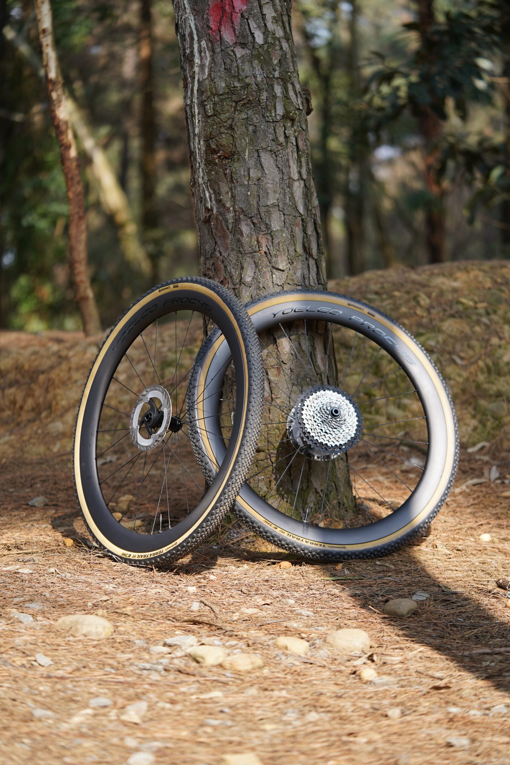 Premium carbon wheelsets